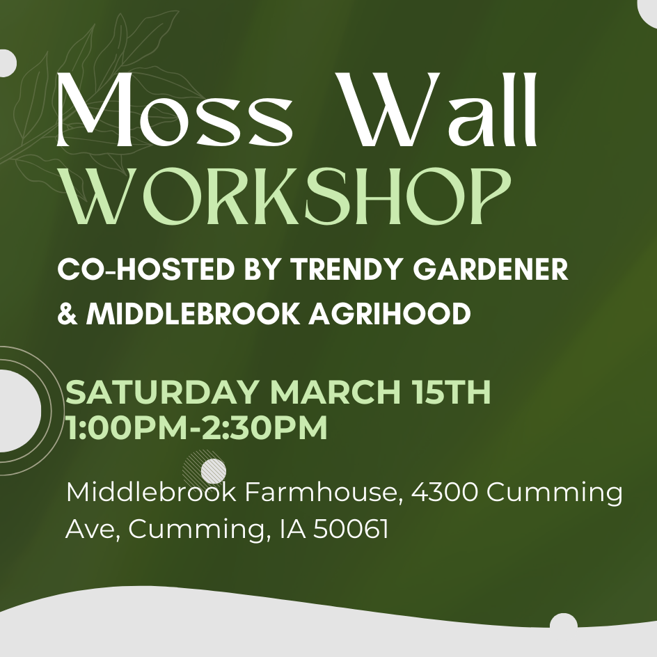 Join Trendy Gardener and Middlebrook Agrihood for an exclusive Moss Wall Workshop, where participants will craft their own preserved moss wall art using sustainable materials. Perfect for plant lovers, interior design enthusiasts, and those interested in biophilic design and eco-friendly decor.