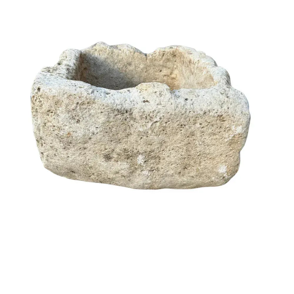 Vintage limestone planter shown indoors with an architectural tree-form plant