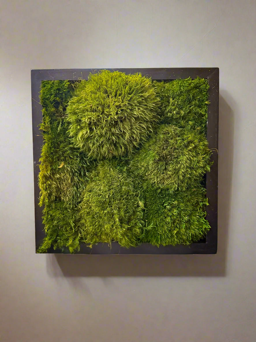 12"x12" preserved mood moss wall panel featuring rich, textured green moss in a square frame—maintenance-free natural decor for modern indoor spaces.