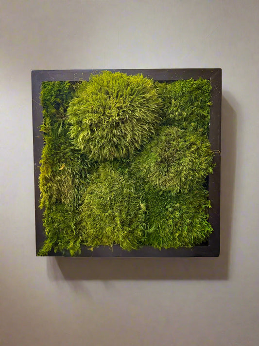 12"x12" preserved mood moss wall panel featuring rich, textured green moss in a square frame—maintenance-free natural decor for modern indoor spaces.
