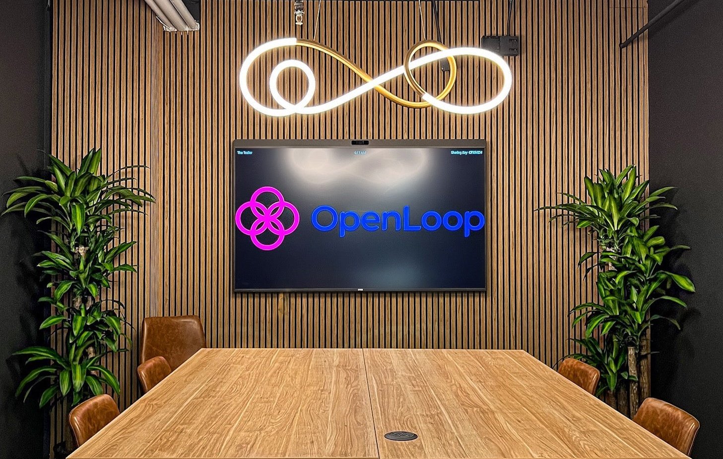 Indoor plant maintenance for businesses focused on healthy foliage and consistent presentation in conference rooms