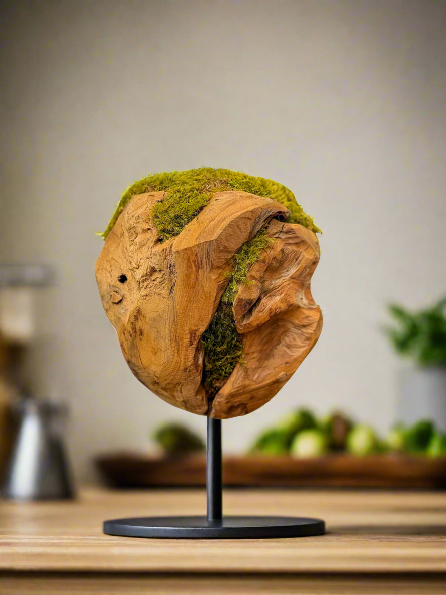 Fir wood and preserved mood moss ball. Handmade in Des Moines, Iowa. Buy Online for nationwide shipping.