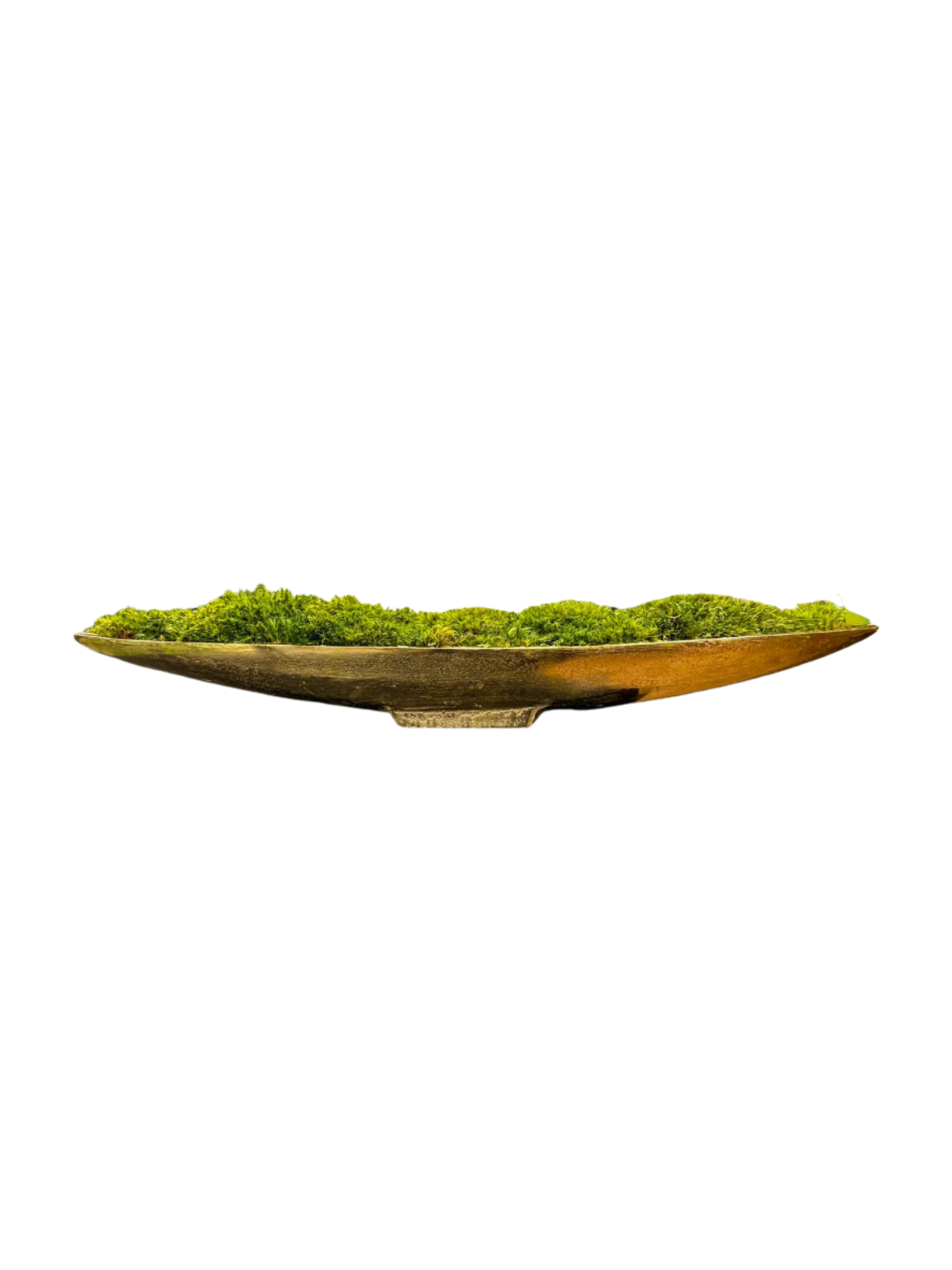 Preserved moss bowl in gold boat vessel, perfect as a moss centerpiece for residential plant design and indoor plant decor.