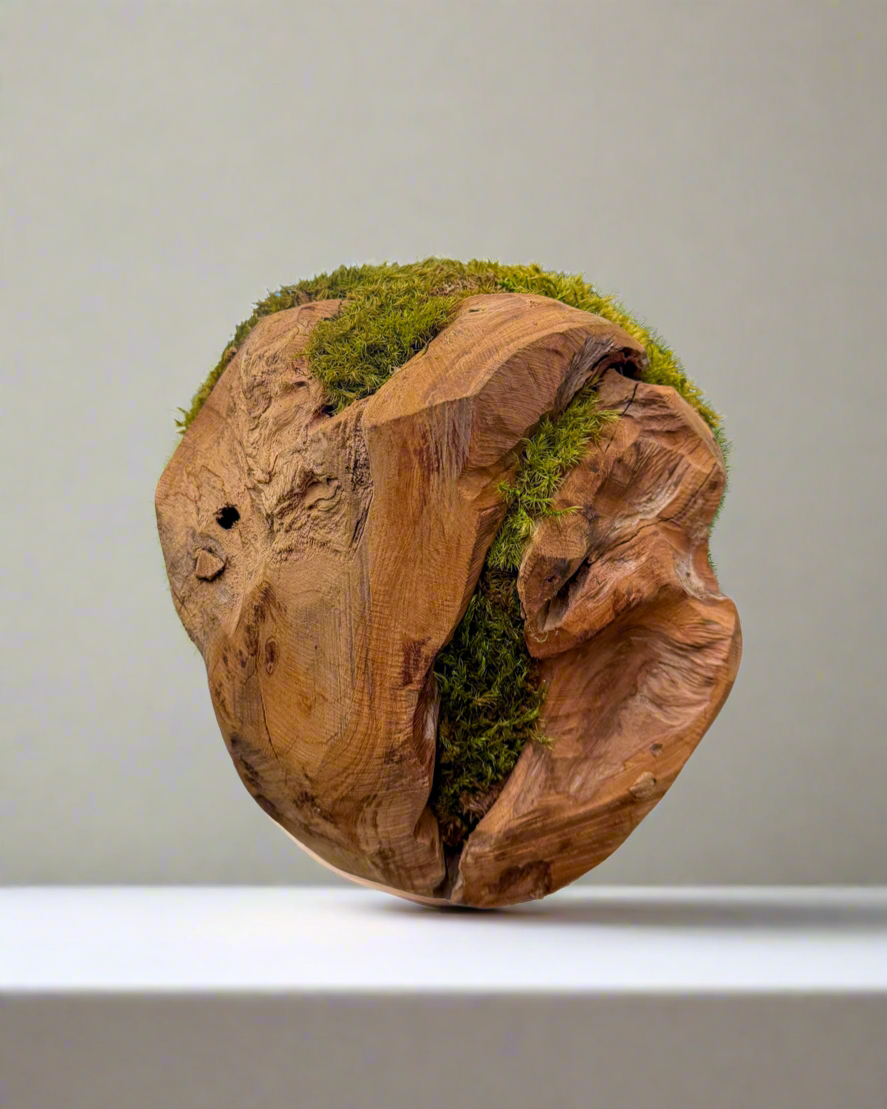 Natural mood moss orb on fir wood, maintenance-free plant accessory ideal for office plant design, plant gifting, and sustainable green home styling. 