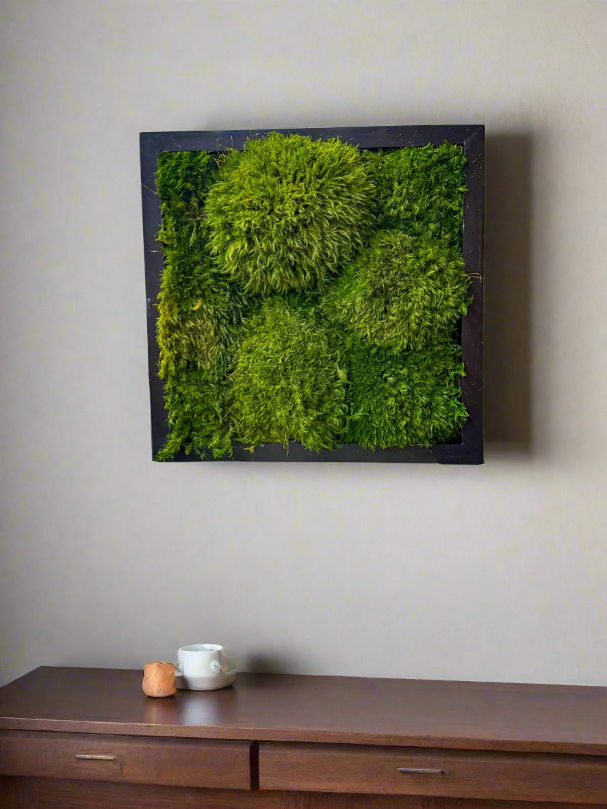 Handcrafted 12x12 preserved moss wall with plush mood moss—framed natural art for biophilic home or office interiors, no maintenance required.