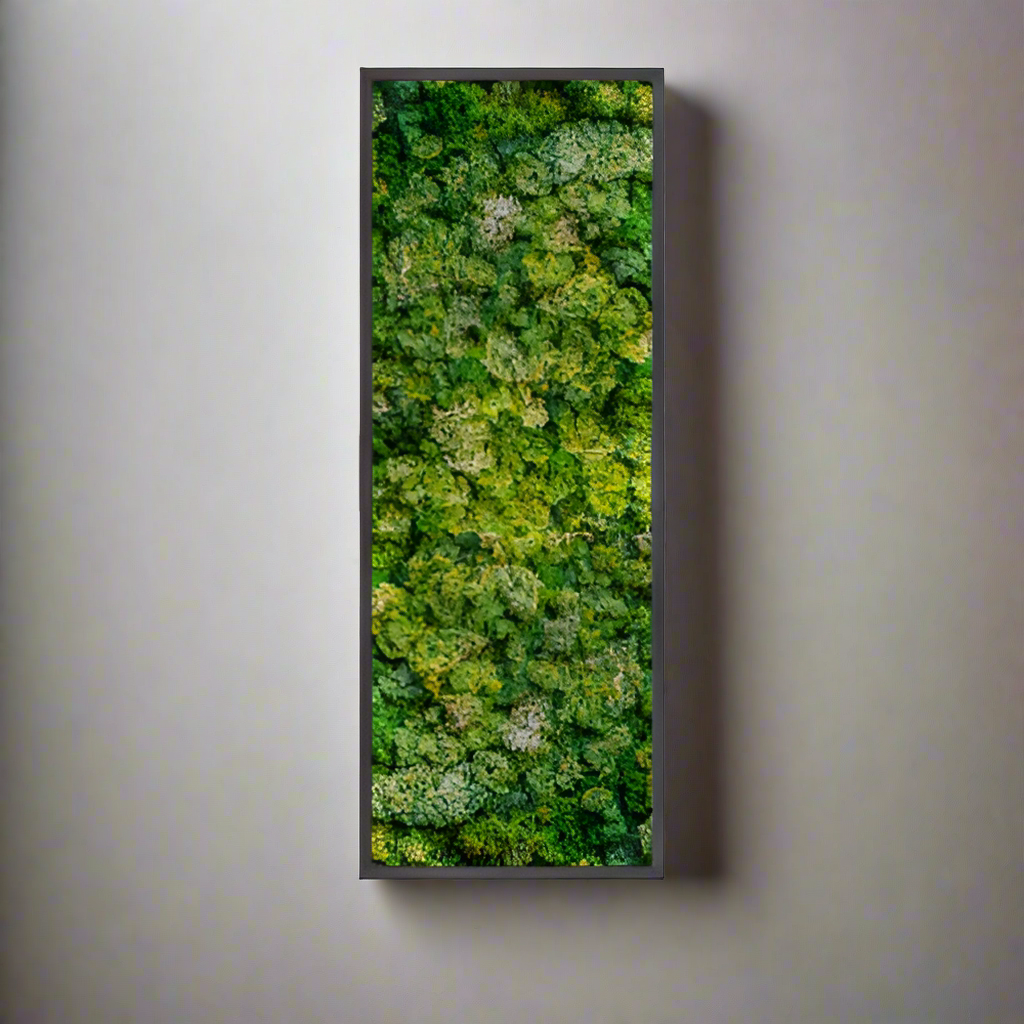 12x36" Preserved Moss Wall Panel – Reindeer Moss Wall Decor, Low-Maintenance Greenery for Interior Spaces