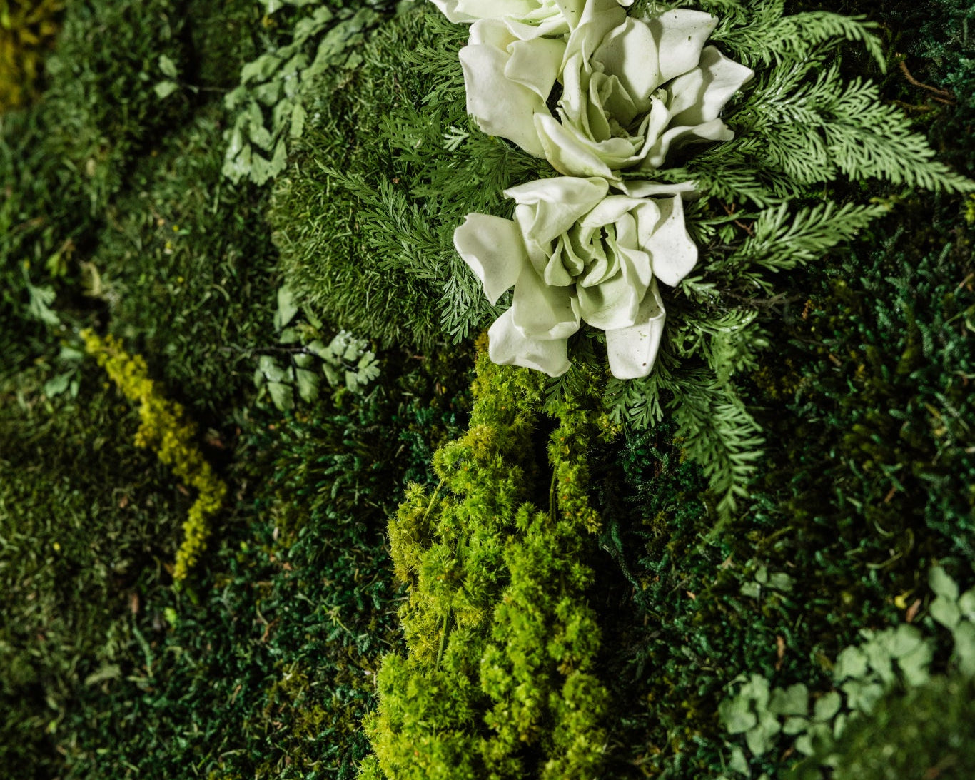White flowers on a green moss wall in West Des Moines, Iowa, Custom preserved moss walls for elevated homes, Trendy Gardener