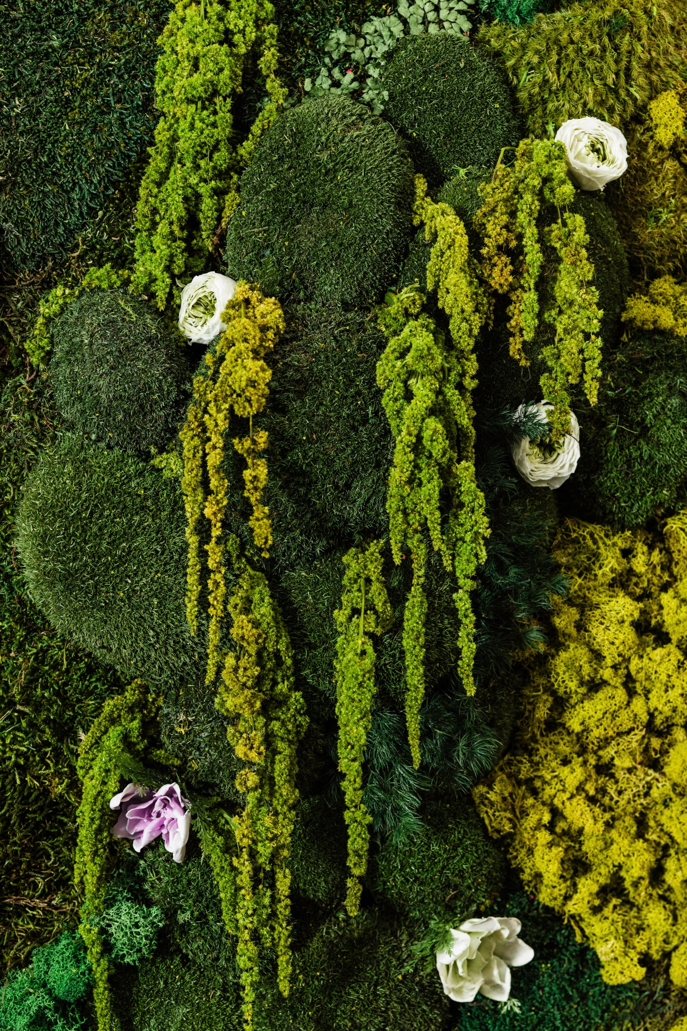 Preserved mood moss, sheet moss, reindeer moss, ball moss wall with sustained roses, dahlia, and amaranthus in various colors, residential moss wall, preserved moss home decor, moss wall art, Trendy Gardener