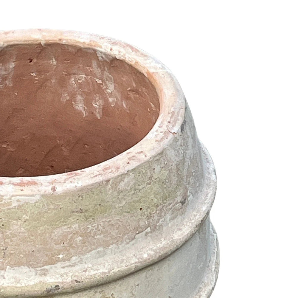 Vietnamese ribbed terracotta planter styled as a statement vessel indoors