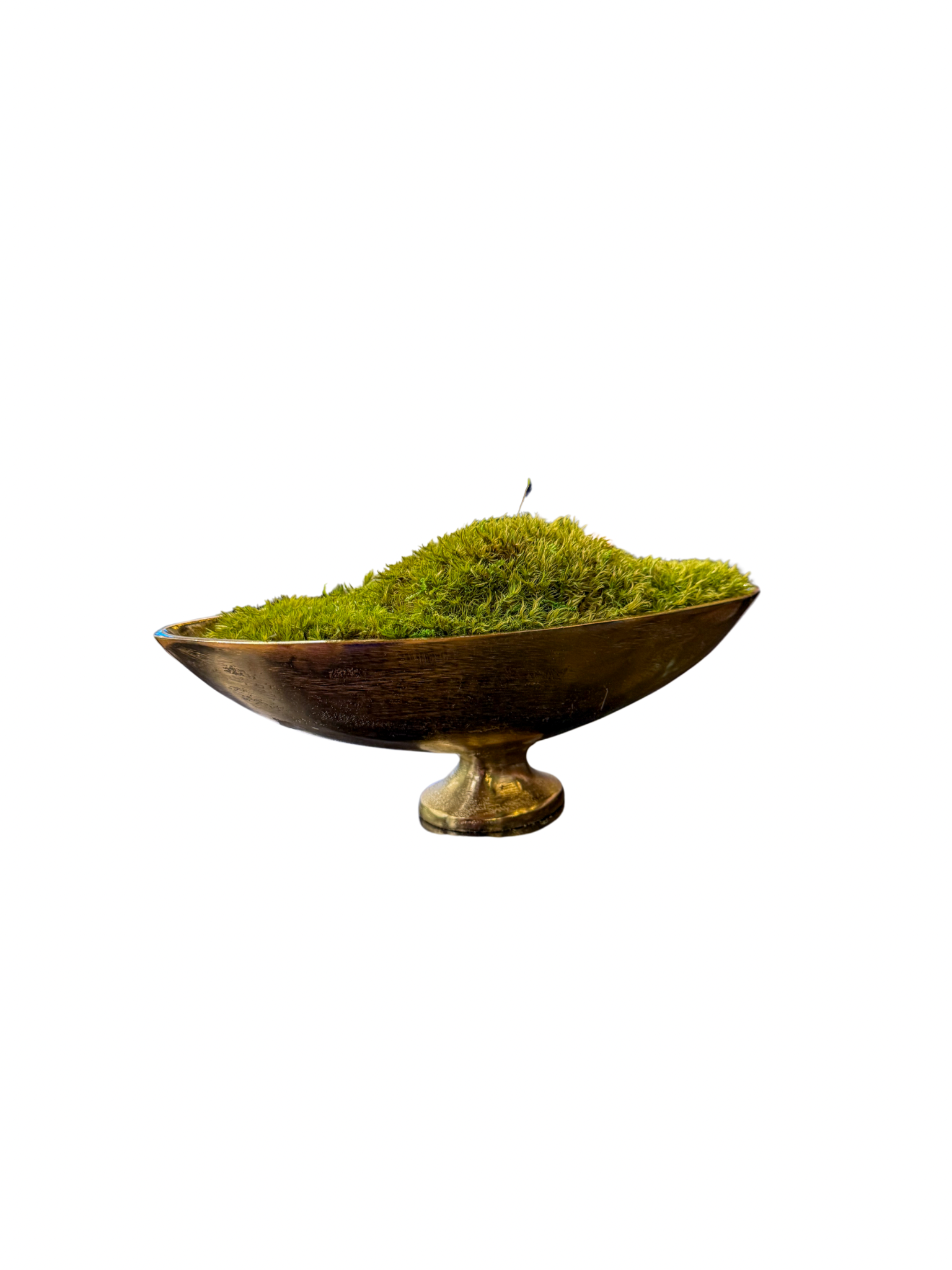 Small Golden Compote Moss Bowl perfect for tables, entryways, shelves, and more.
