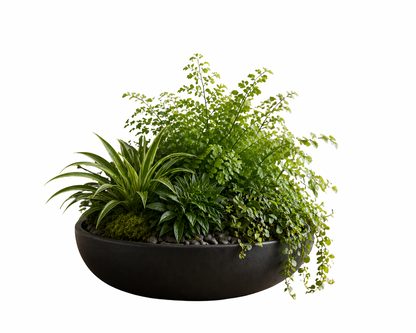 Botanical centerpiece plant arrangement with spider plant, fern, mixed green houseplants, trailing foliage, moss, river stones, and black bowl planter.