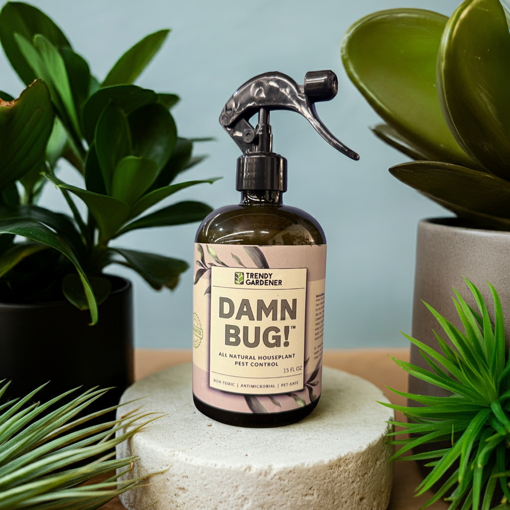 A recycled glass bottle of Damn Bug, an all natural, pet-safe houseplant bug spray