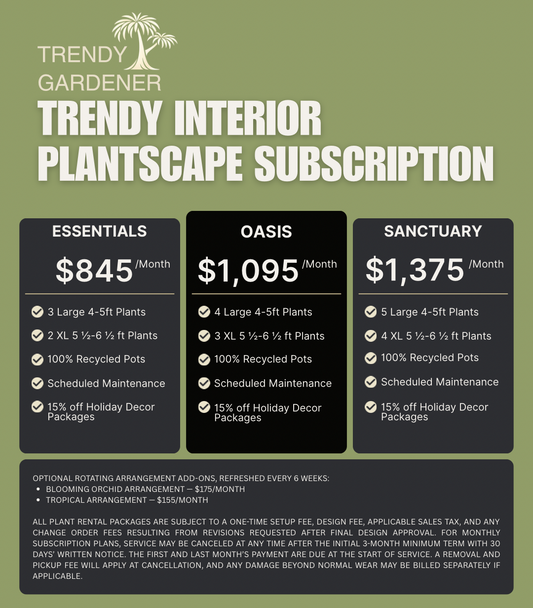 Trendy Gardener interior plantscape subscription pricing graphic featuring Essentials, Oasis, and Sanctuary office plant rental packages with monthly pricing, scheduled maintenance, recycled pots, and rotating floral add-ons.