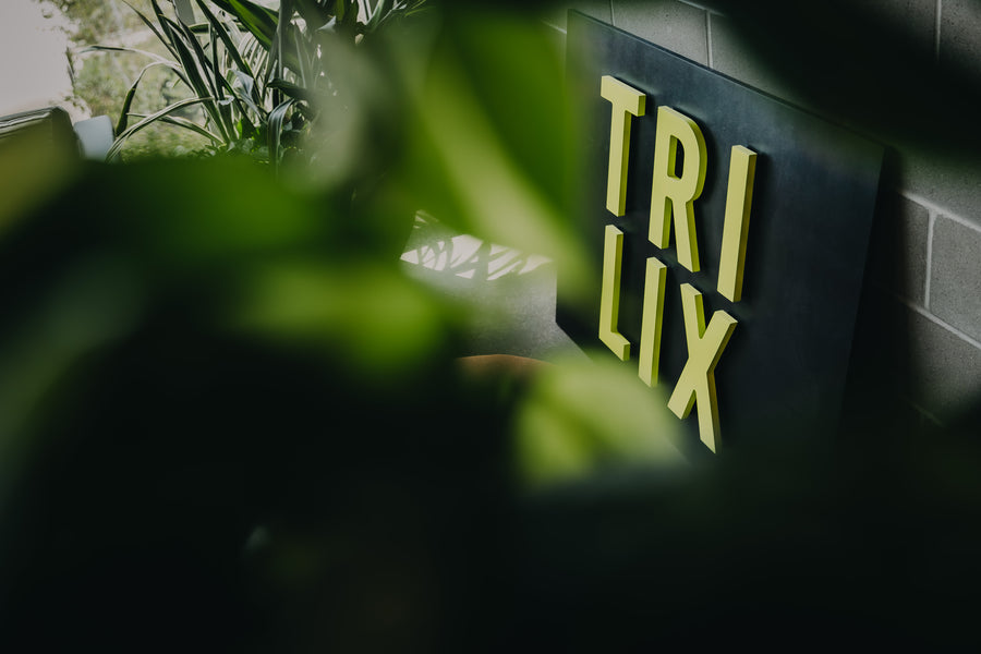 Trilix — Interior Plantscaping and Custom Railing Planters detail