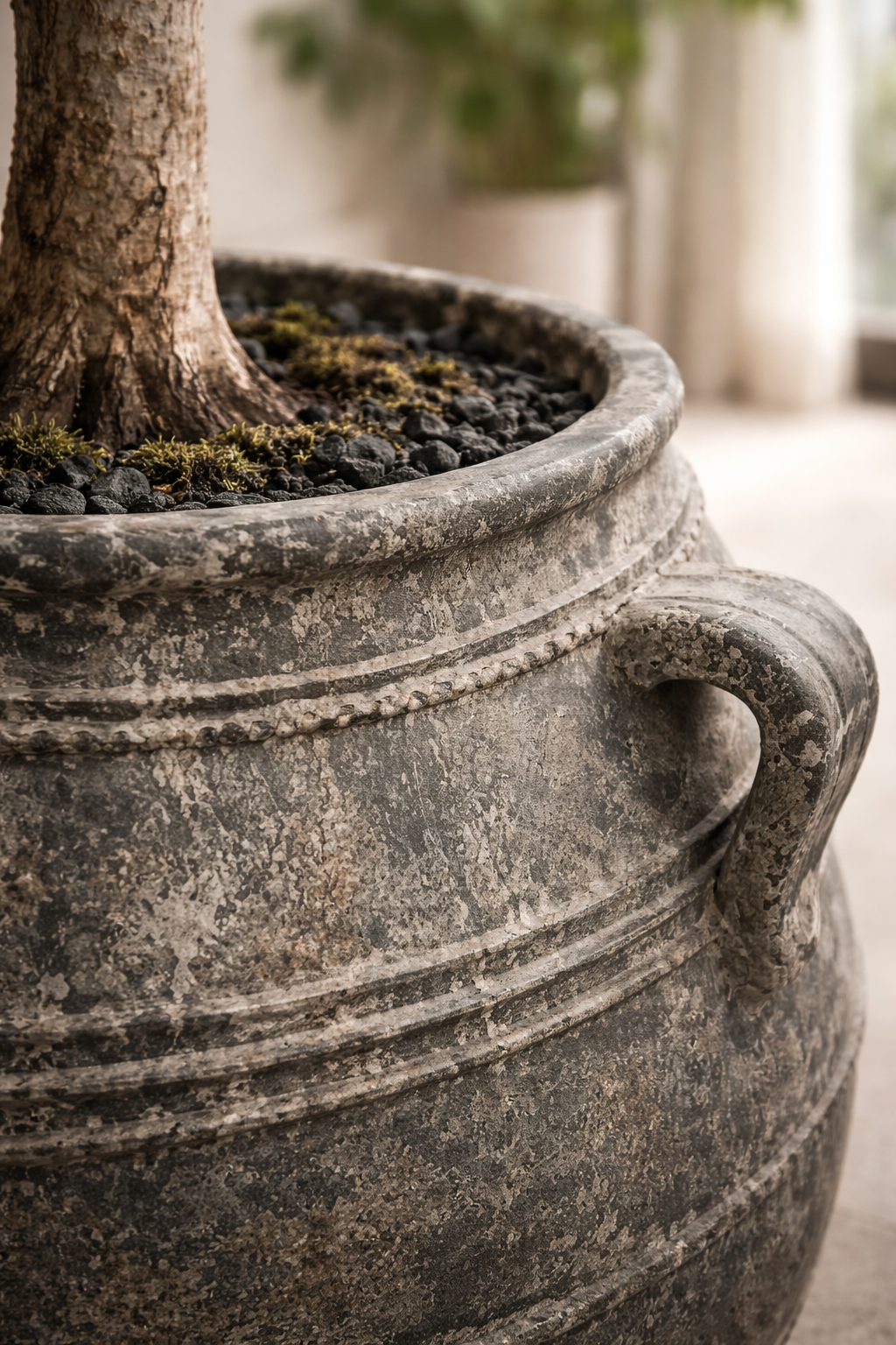 Artisanal terracotta pot with an indoor tree inside being installed in West Des Moines, Iowa by Trendy Gardener