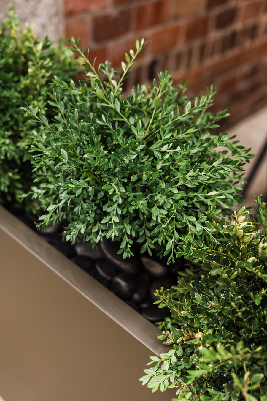 Bubba Patio Planter Program detail