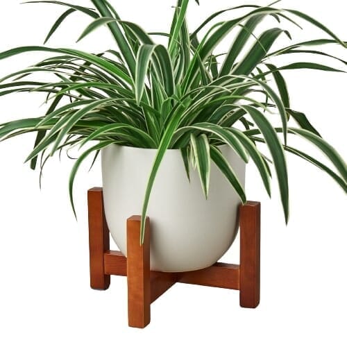 Ceramic Contour Pot with Wood Stand - 7 Inch-Accessories ($10 Ship/31oz)-Trendy Gardener