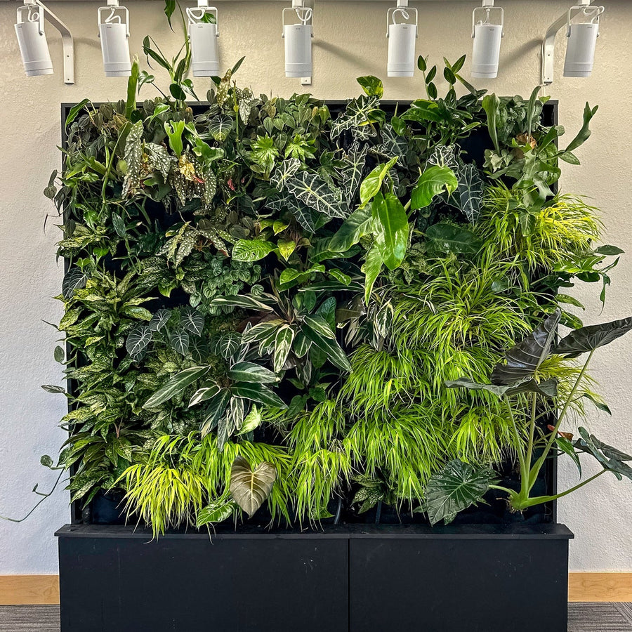 Commercial living wall of tropical foliage in a black frame, lit by eight adjustable track spotlights, above two black base planters in a clinic seating area.