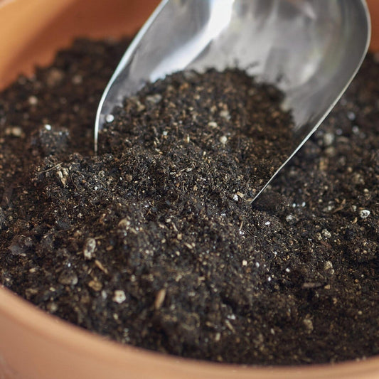 Indoor Plant Potting Soil - Puck-Trendy Gardener