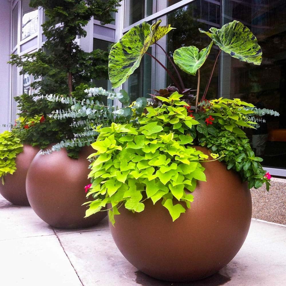 The fiberglass round globe planter with a smooth, spherical design and durable finish, perfect for modern indoor and outdoor plantscaping in residential and commercial settings.