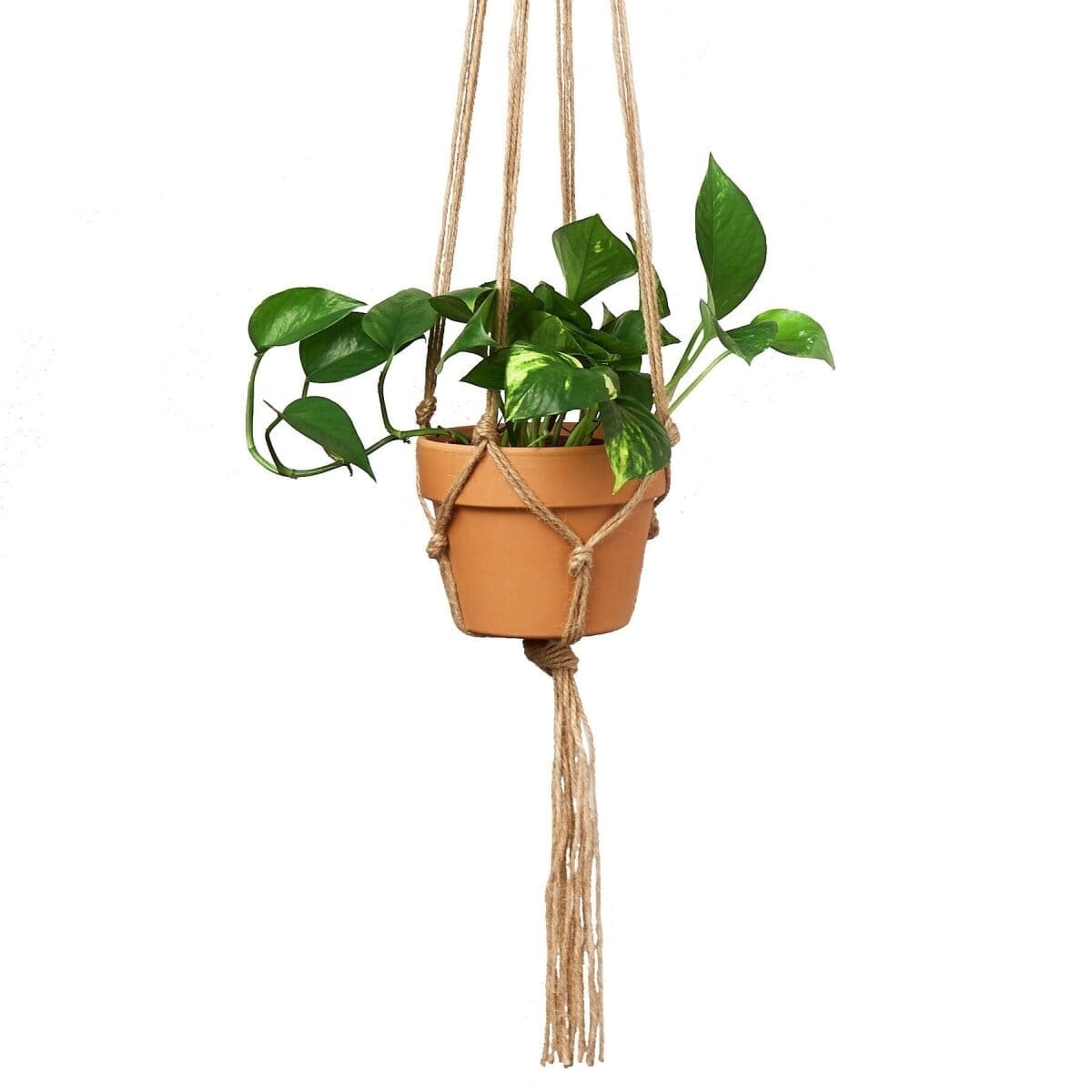 Macrame Hanger - Designed for 5 - 7 inch Planters-Garden Supplies/Accessories-Trendy Gardener