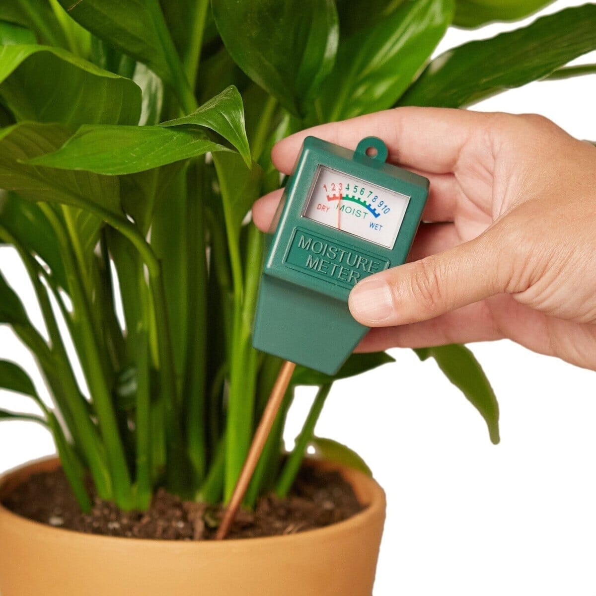 Moisture Meter-Indoor Plants-Trendy Gardener