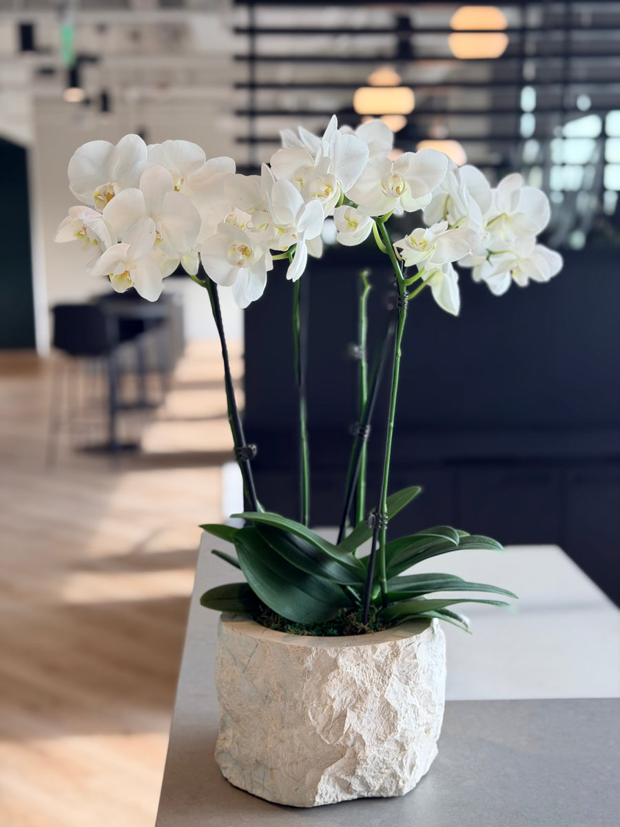 CBRE 595 Tower — Reception Planting and Open Office Planters detail