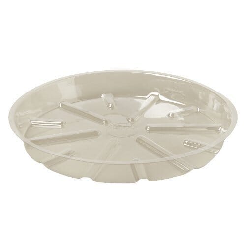 Plastic Saucer-Accessories ($0)-Trendy Gardener