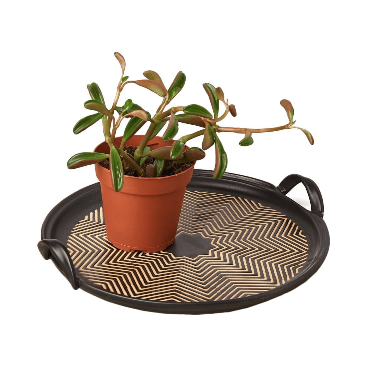 Rahnza Tray - 11 Inch-Accessories ($13 Ship/47oz)-Trendy Gardener