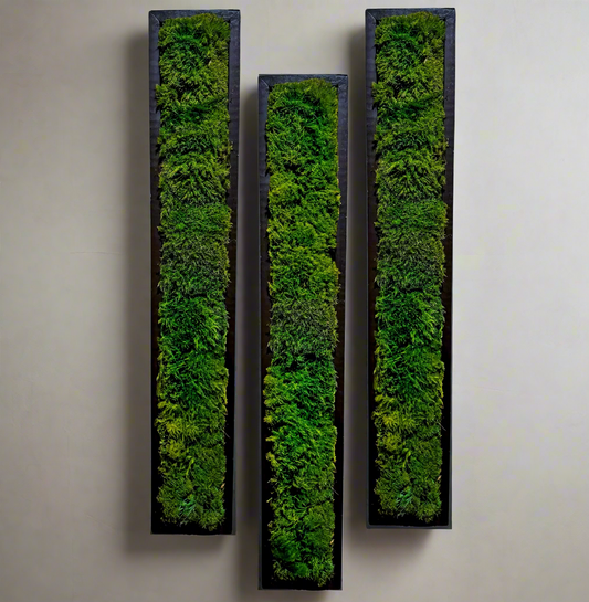 Elegant tall moss wall art panels featuring preserved moss in deep green hues, perfect for office plant design, residential plant design, and biophilic interiors.