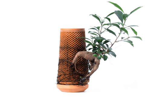 Teva planter : Self Watering Planter-ceramic vase-Trendy Gardener