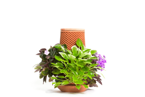 Teva planter : Self Watering Planter-ceramic vase-Trendy Gardener