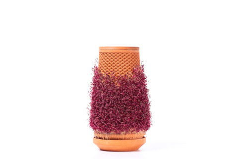 Teva planter : Self Watering Planter-ceramic vase-Trendy Gardener