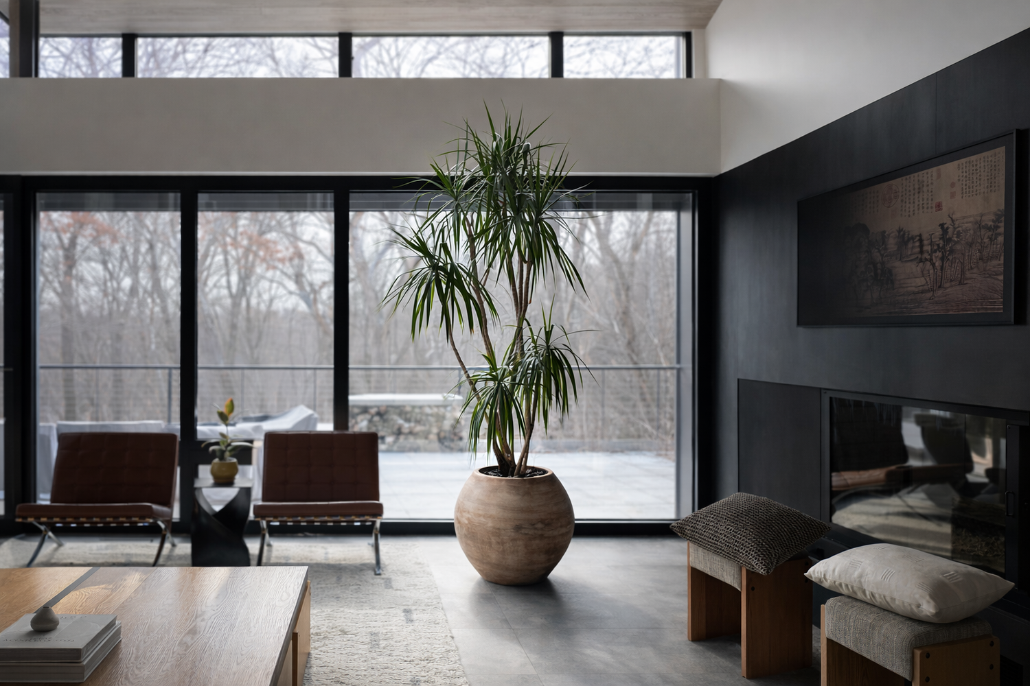 Modern interior plantscaping with a dracaena marginata in a round wood planter by expansive glass doors.
