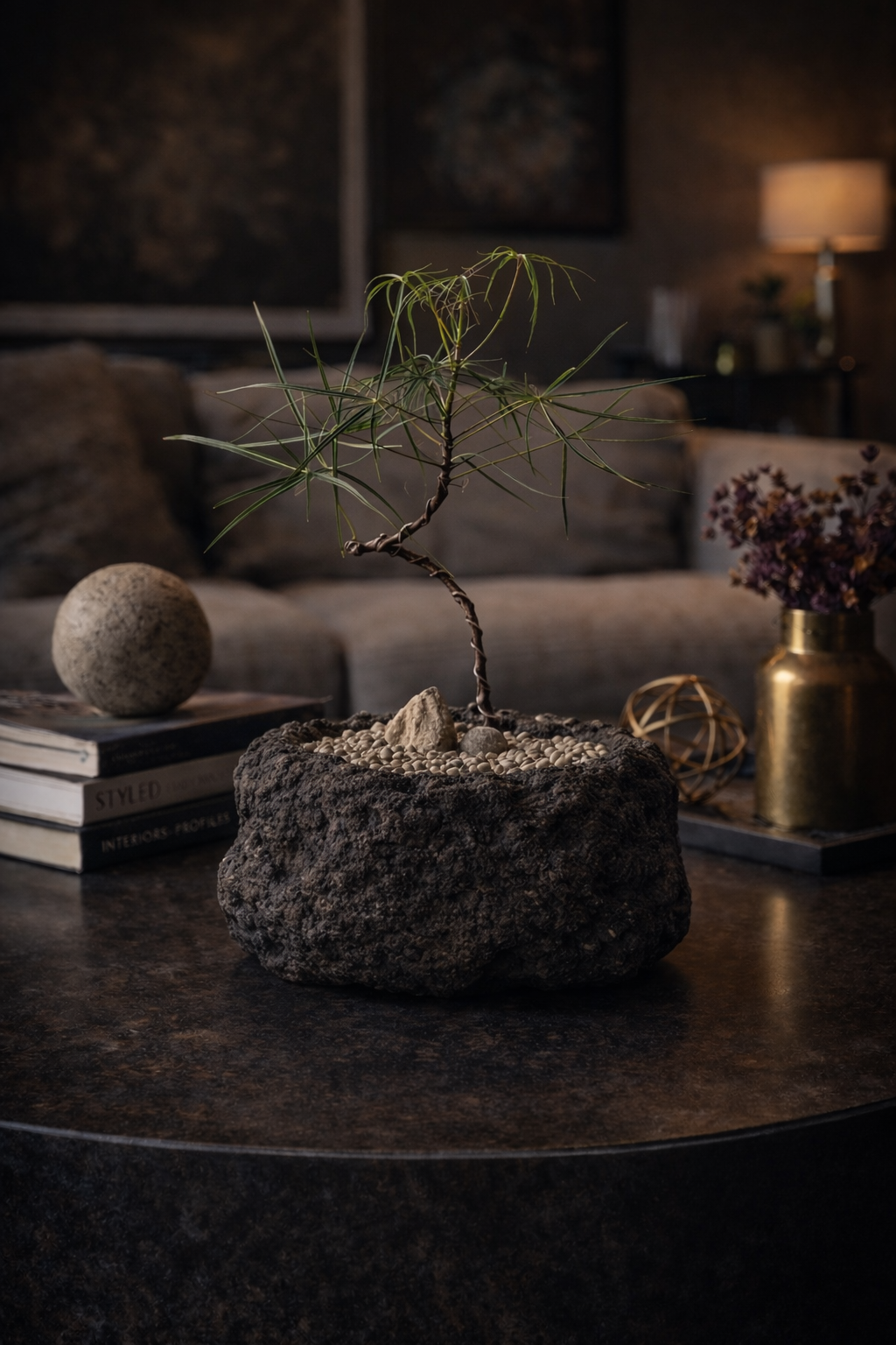 Minimalist Brachychiton rupestris
in a black lava stone bowl with pebbles on a moody coffee table vignette.