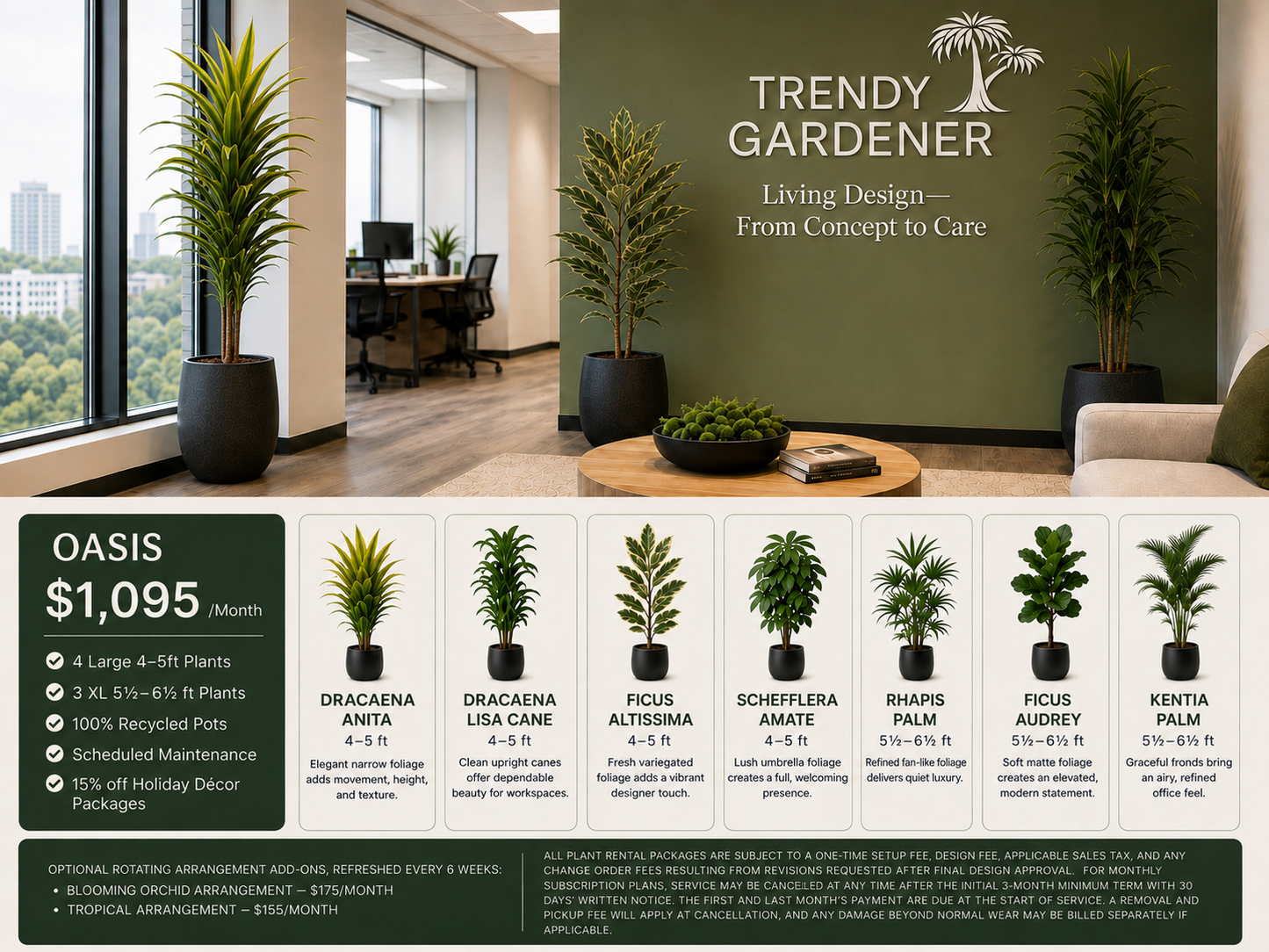 Trendy Gardener Oasis commercial plant rental package featuring large office plants, recycled pots, scheduled maintenance, and biophilic design for modern workplaces in Des Moines.