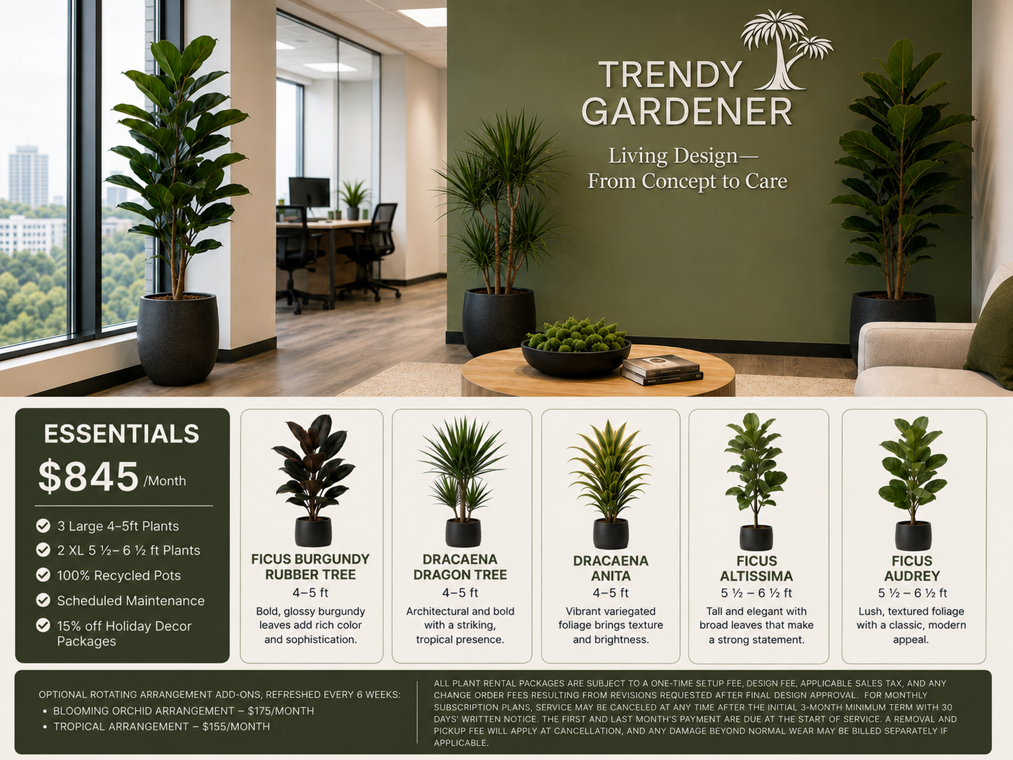 Trendy Gardener Oasis office plant rental package featuring large indoor plants, recycled pots, scheduled maintenance, and modern biophilic design for commercial spaces in Des Moines.