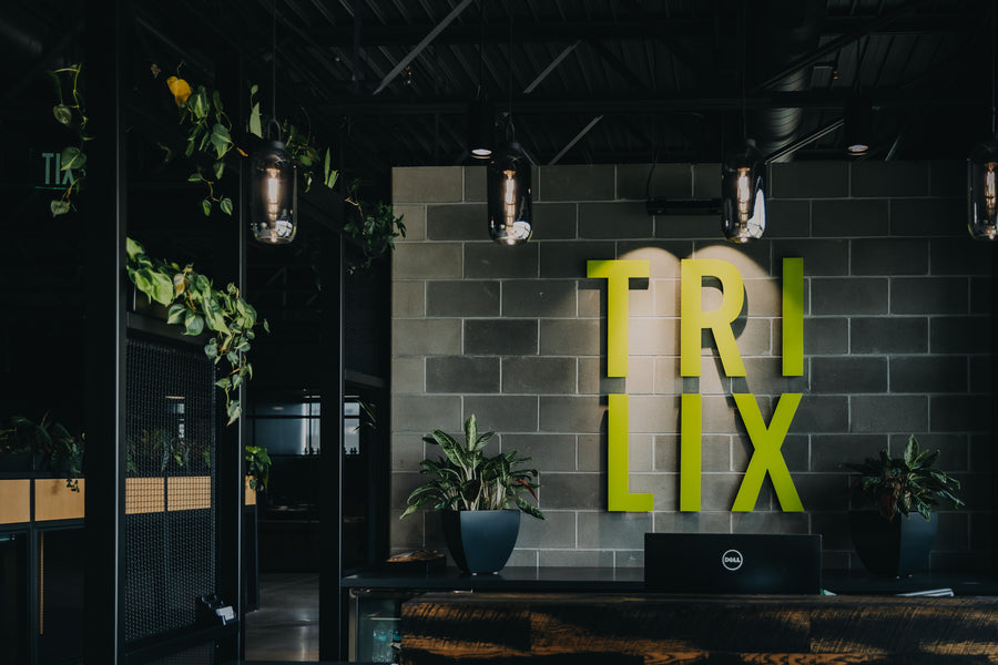 Receptionist desk at Trilix with trailing plants along a black partition-top planter and a matte gunmetal semi custom fiberglass planters with chinese evergreens.