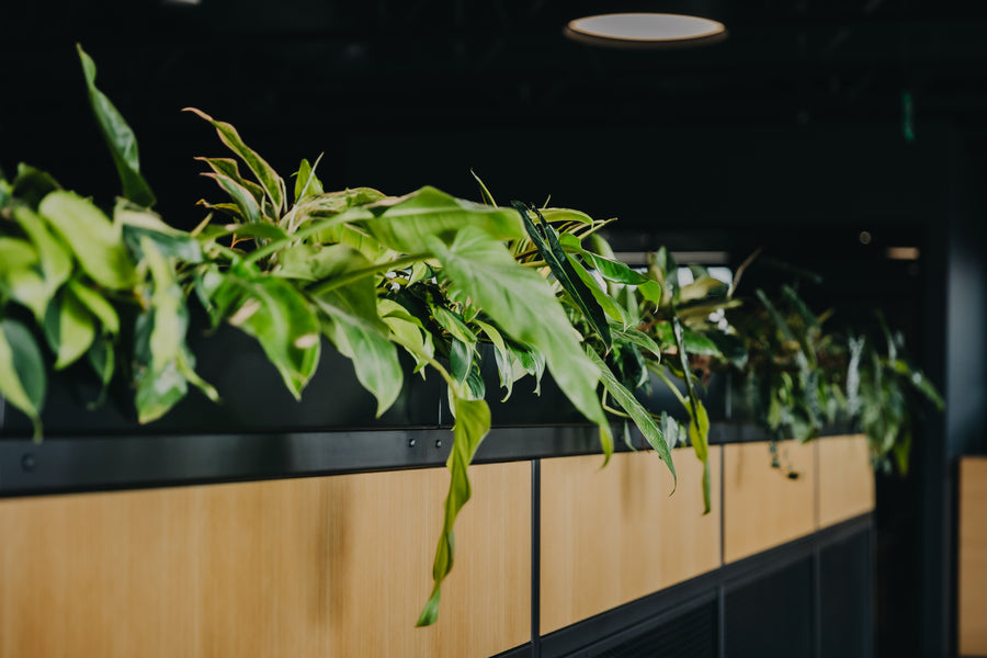 Trilix — Interior Plantscaping and Custom Railing Planters detail